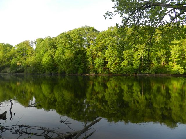 558 Swan River Drive, Benton Harbor, MI 49022