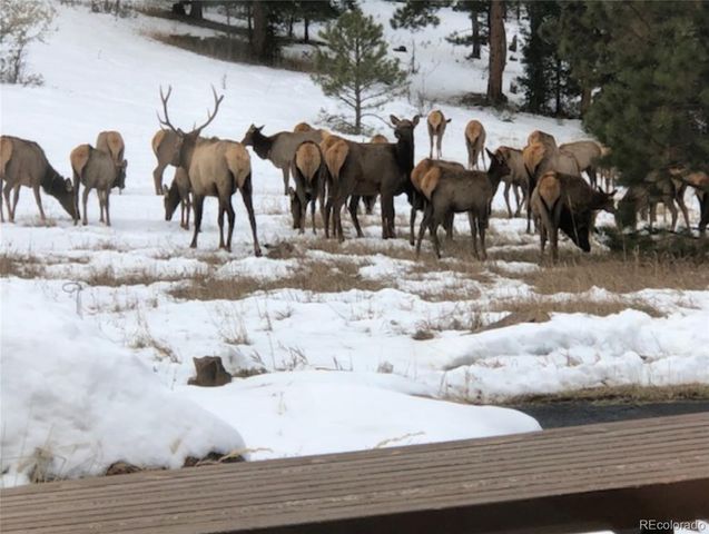 22284 N Turkey Creek Road, Morrison, CO 80465