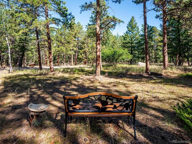 22284 N Turkey Creek Road, Morrison, CO 80465