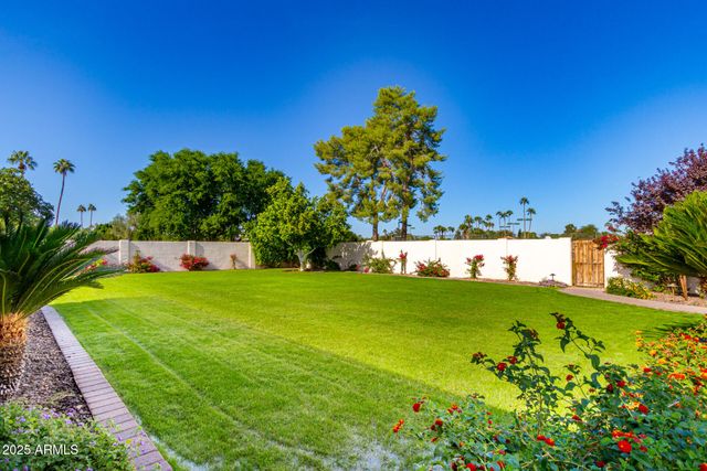 11037 N 50TH Street, Scottsdale, AZ 85254