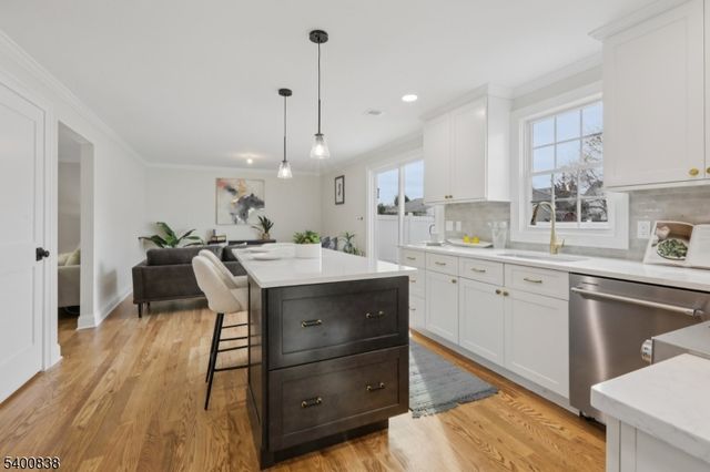 360 Cook Ave, Scotch Plains Twp., NJ 07076