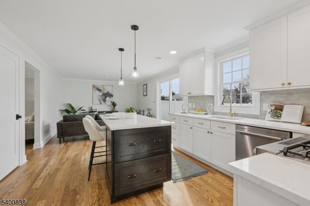 360 Cook Ave, Scotch Plains Twp., NJ 07076