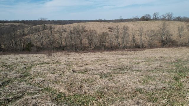 222 Stone Lane, Sadieville, KY 40370