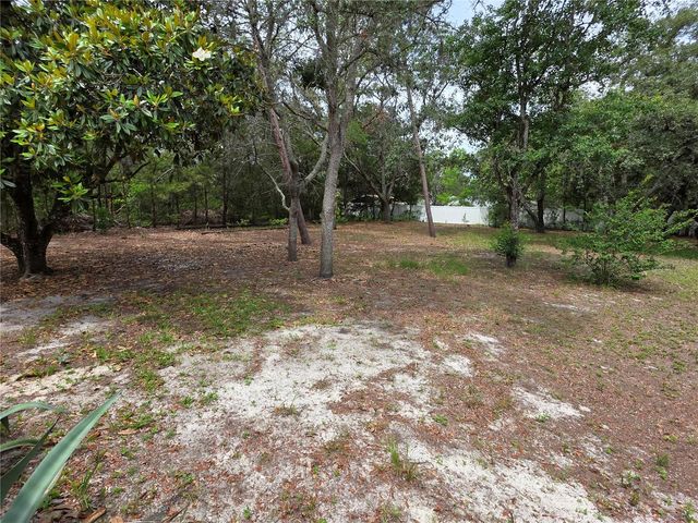17839 MONTEVERDE DRIVE, Spring Hill, FL 34610
