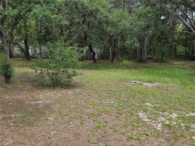 17839 MONTEVERDE DRIVE, Spring Hill, FL 34610