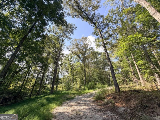 1620 Cross Plains Hulett Road, Carrollton, GA 30116