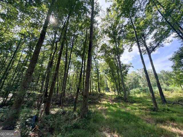 1620 Cross Plains Hulett Road, Carrollton, GA 30116