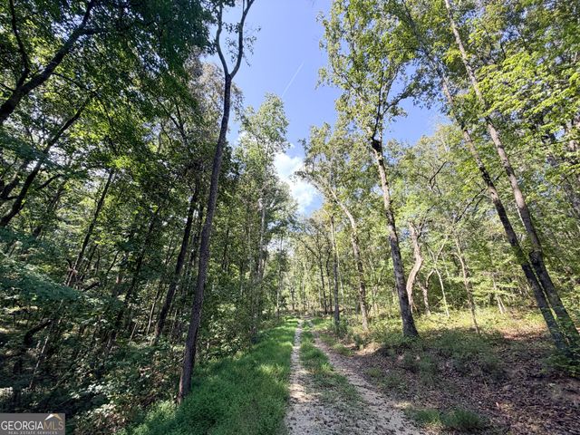 1620 Cross Plains Hulett Road, Carrollton, GA 30116