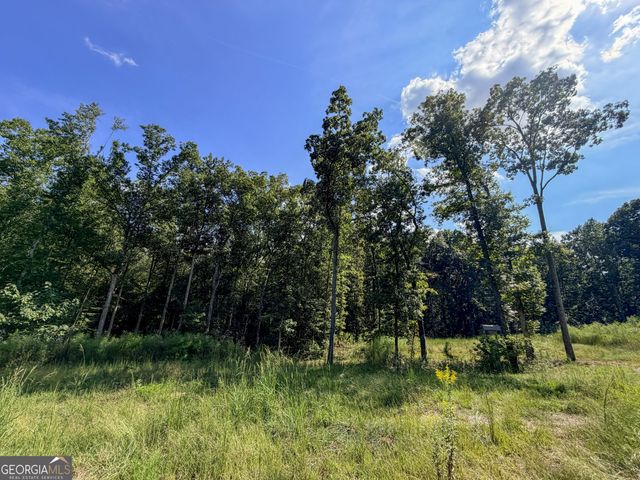 1620 Cross Plains Hulett Road, Carrollton, GA 30116