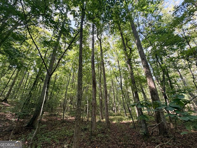 1620 Cross Plains Hulett Road, Carrollton, GA 30116