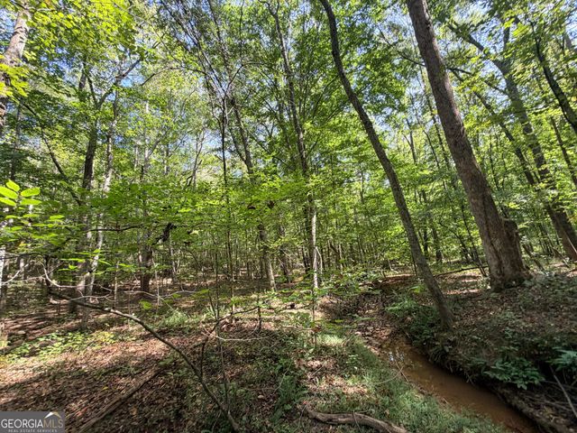 1620 Cross Plains Hulett Road, Carrollton, GA 30116