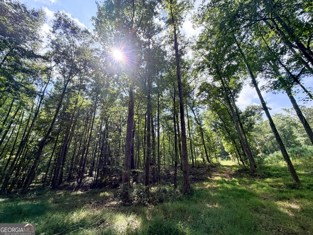 1620 Cross Plains Hulett Road, Carrollton, GA 30116