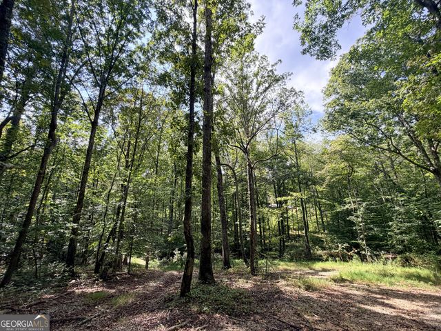 1620 Cross Plains Hulett Road, Carrollton, GA 30116