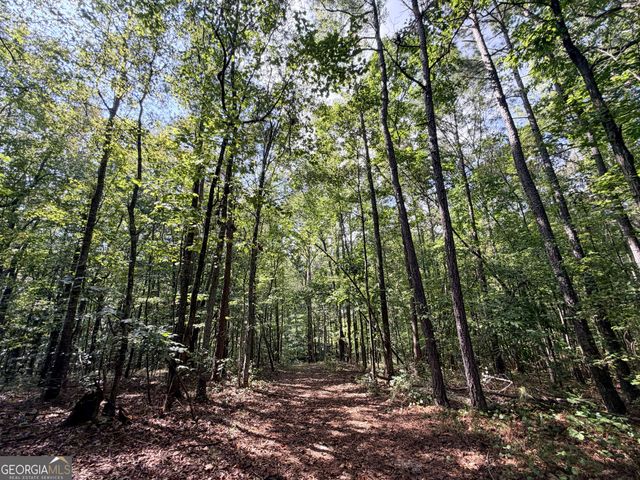 1620 Cross Plains Hulett Road, Carrollton, GA 30116