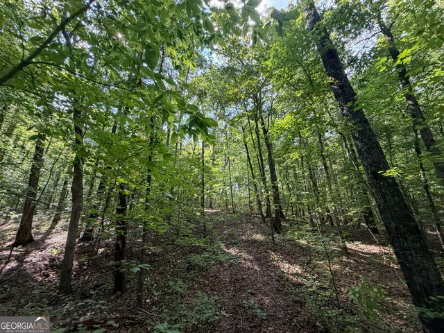 1620 Cross Plains Hulett Road, Carrollton, GA 30116