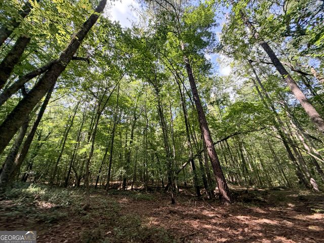 1620 Cross Plains Hulett Road, Carrollton, GA 30116