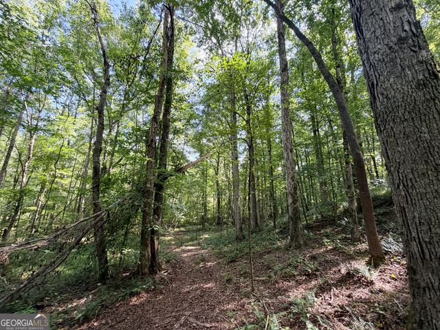 1620 Cross Plains Hulett Road, Carrollton, GA 30116