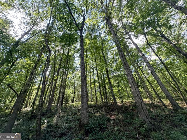 1620 Cross Plains Hulett Road, Carrollton, GA 30116