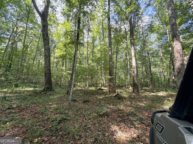 1620 Cross Plains Hulett Road, Carrollton, GA 30116