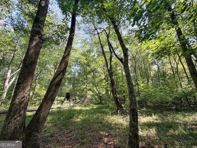 1620 Cross Plains Hulett Road, Carrollton, GA 30116