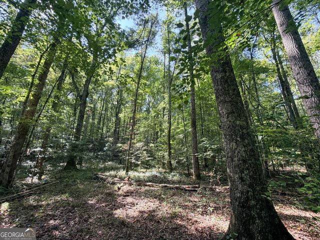 1620 Cross Plains Hulett Road, Carrollton, GA 30116