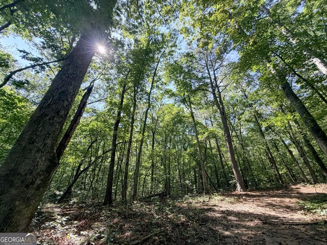 1620 Cross Plains Hulett Road, Carrollton, GA 30116