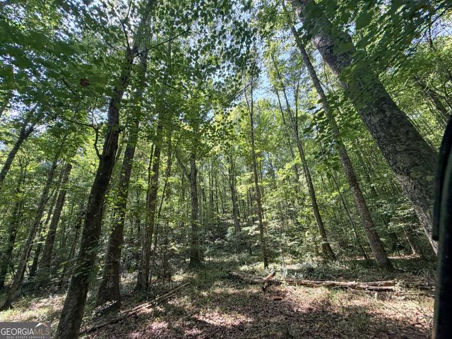 1620 Cross Plains Hulett Road, Carrollton, GA 30116