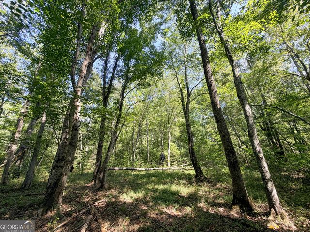 1620 Cross Plains Hulett Road, Carrollton, GA 30116