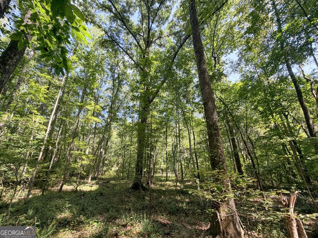 1620 Cross Plains Hulett Road, Carrollton, GA 30116