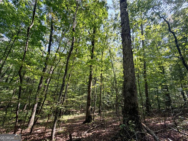 1620 Cross Plains Hulett Road, Carrollton, GA 30116