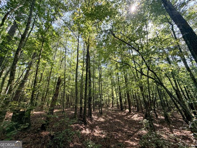 1620 Cross Plains Hulett Road, Carrollton, GA 30116