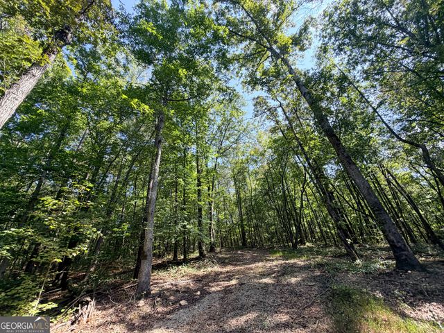 1620 Cross Plains Hulett Road, Carrollton, GA 30116