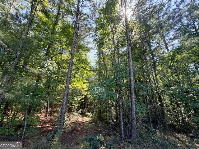 1620 Cross Plains Hulett Road, Carrollton, GA 30116
