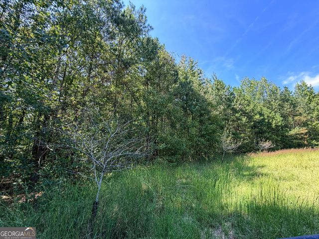 1620 Cross Plains Hulett Road, Carrollton, GA 30116