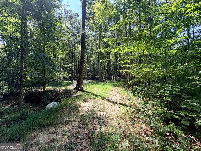 1620 Cross Plains Hulett Road, Carrollton, GA 30116