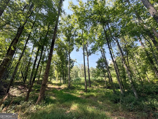 1620 Cross Plains Hulett Road, Carrollton, GA 30116