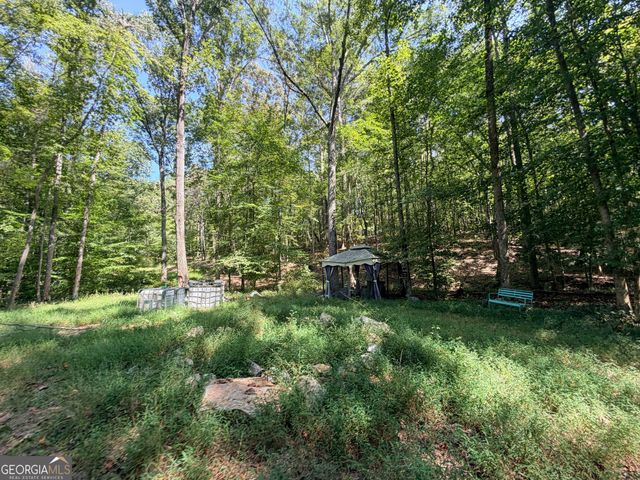 1620 Cross Plains Hulett Road, Carrollton, GA 30116