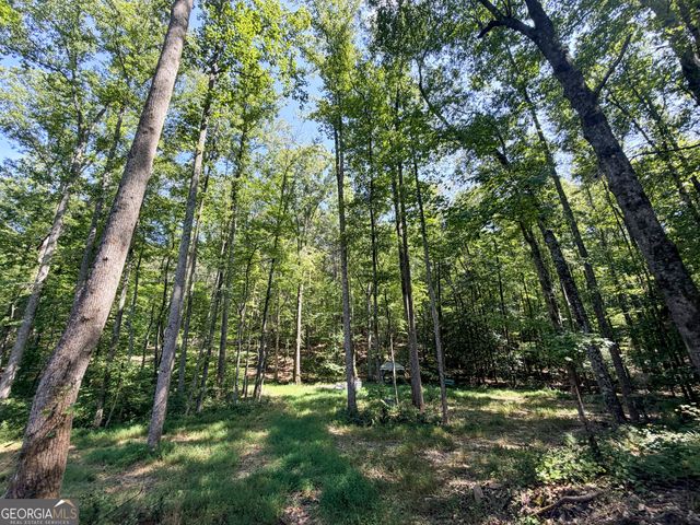 1620 Cross Plains Hulett Road, Carrollton, GA 30116