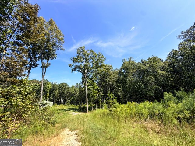 1620 Cross Plains Hulett Road, Carrollton, GA 30116