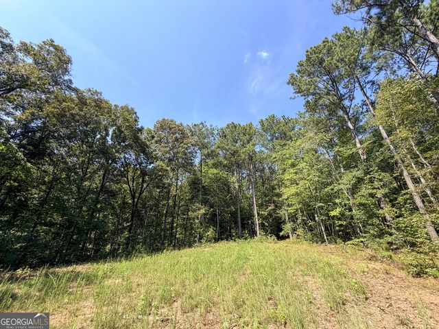 1620 Cross Plains Hulett Road, Carrollton, GA 30116