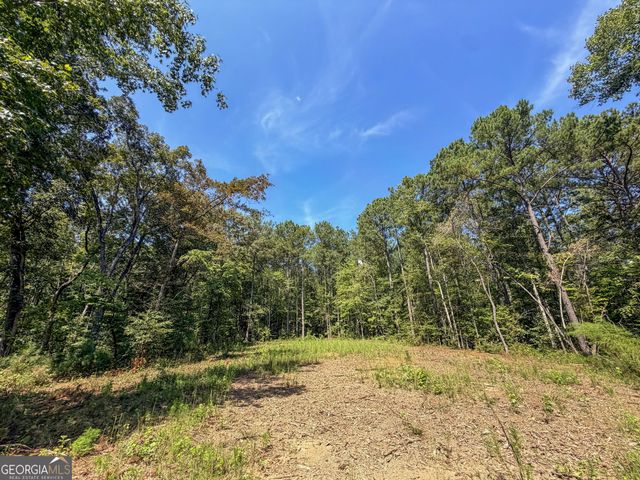 1620 Cross Plains Hulett Road, Carrollton, GA 30116