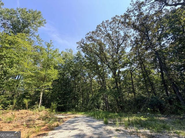 1620 Cross Plains Hulett Road, Carrollton, GA 30116