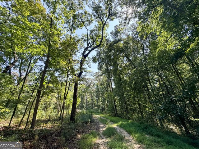 1620 Cross Plains Hulett Road, Carrollton, GA 30116