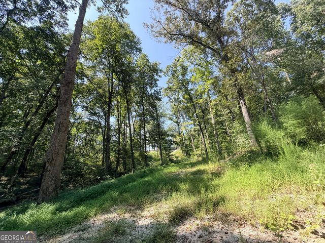1620 Cross Plains Hulett Road, Carrollton, GA 30116