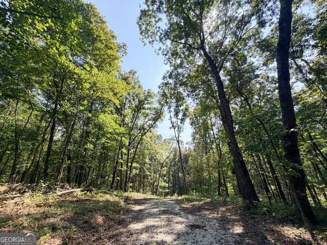 1620 Cross Plains Hulett Road, Carrollton, GA 30116