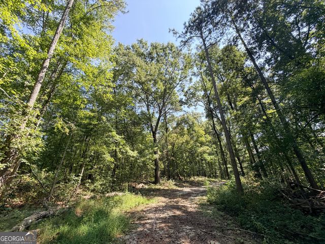 1620 Cross Plains Hulett Road, Carrollton, GA 30116