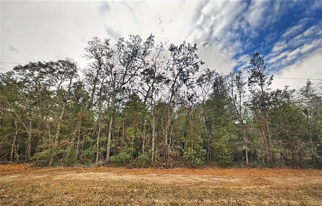 0 USINA AVENUE, Interlachen, FL 32148