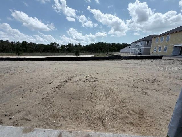 22113 AMBERBUSH CT., Mount Dora, FL 32757