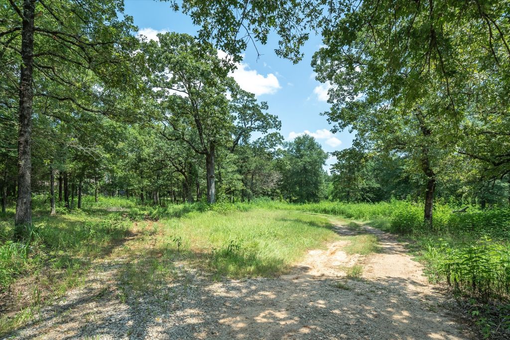 1030 VZ County Road 3208, Wills Point, TX 75169