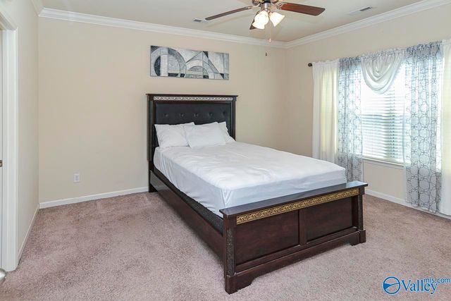 352 Harbor Glen Drive, Madison, AL 35756